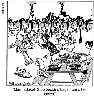 marmaduke